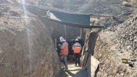 WhatsApp Image 2021-02-03 at 15.06.15