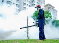 Plagas en Edificios y Condominios