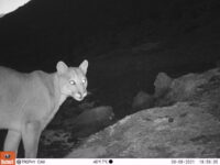 51669777741_67d51a793a_w