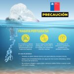 WhatsApp Image 2022-01-15 at 4.05.35 PM