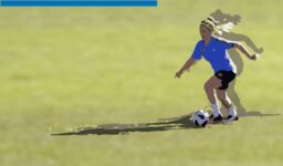 ef132ef8-99fb-47d5-8f9b-e6b7d4eff014