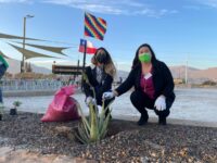 WhatsApp Image 2022-06-14 at 11.20.41 AM (1)