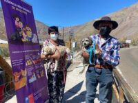 WhatsApp Image 2022-08-23 at 7.04.42 PM