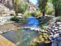 Sin título-compressed (17)