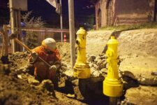 c0cf1502-b7f7-40b2-9668-1338cc46c764-compressed