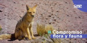 Captura de Pantalla 2022-11-03 a la(s) 11-compressed