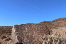 Sin título-compressed (2)