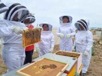 MGC - CMP - PCG_ APICULTURA AGUA DESALINIZADA-compressed