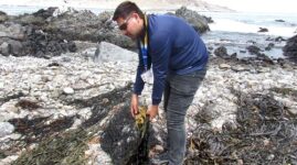 Sernapesca-compressed