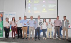 Sin título11-compressed