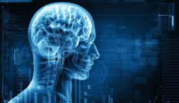 1140-blue-profile-brain-stress-affects-memory-esp-compressed