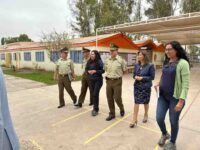 50d24b3d-edae-4bea-b7f0-2c4a03c27e07-compressed