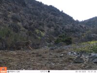 M2E166A1L223-85.5339965-85.5339965