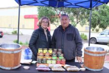 Albiña 2-compressed