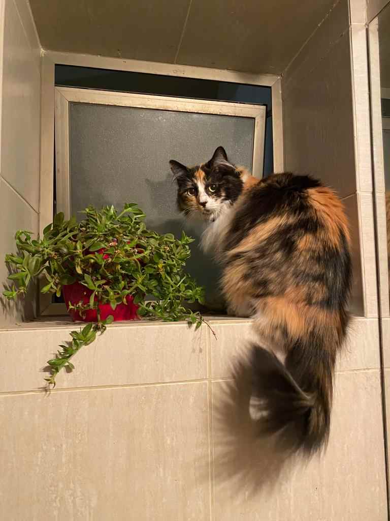 WhatsApp Image 2023-10-25 at 09-compressed