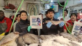 balance-veda-merlu4-compressed