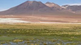 E26E892B-F61A-469A-91B5-3964104454BB_1_102_a