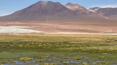 E26E892B-F61A-469A-91B5-3964104454BB_1_102_a