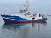 definitivo marzo 2022