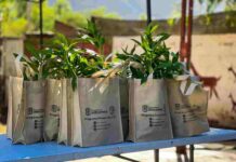 medio ambiente 1-compressed