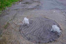 iStock-1357251156-compressed (1)