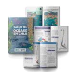 Promoción_IdSO-compressed