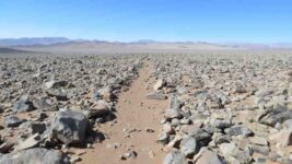 1 Camino del Inca atacama fuente Museo Nacional de Historia Natural-compressed