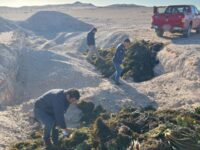 incautacion-huironegro-calderilla3