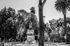 53774209961_e2b269b76f_c