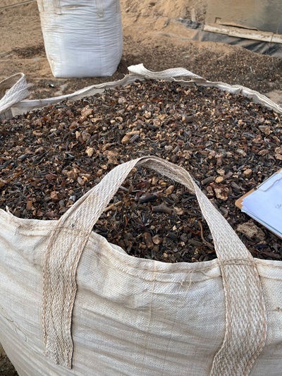 incautacion-algaspardas-riocopiapo3