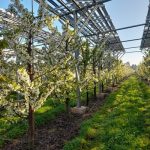 20241009_085742-2-2048x2048-compressed