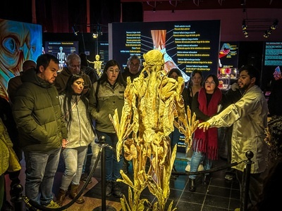 1755561547132-compressed