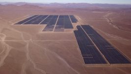 PF Malgarida_02-compressed