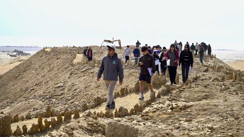 DPP Verano 2026 fuente CIAHN (2)-compressed