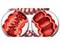 unnamed (1)-compressed (1)