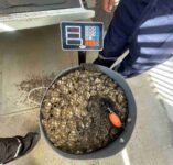 operativo-bahiainglesa2-compressed