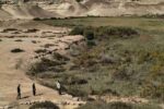 Investigador UDA crea colecciones de microorganismos propios de Atacama para abordar desafíos de contaminación, biomedicina, minería verde y agricultura del desierto