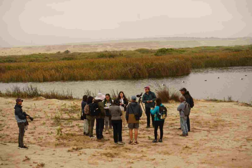 Actividad_grupos (1)-compressed