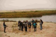 Actividad_grupos (1)-compressed